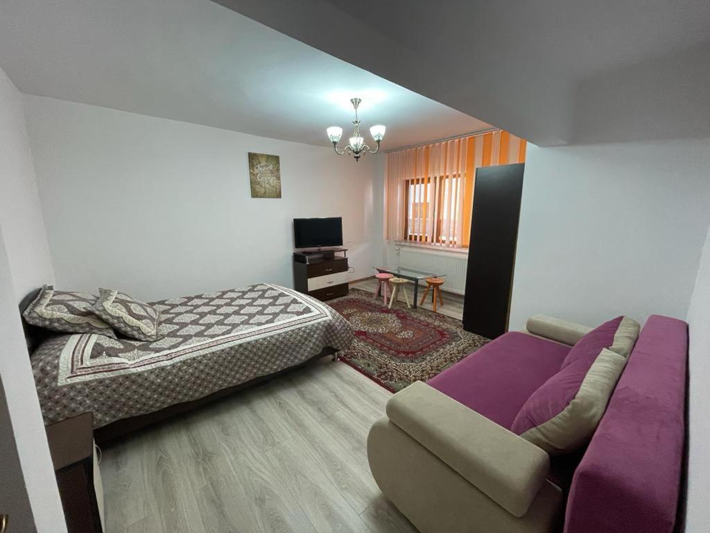 Apartament Mioritza 2A Horezu Exterior foto