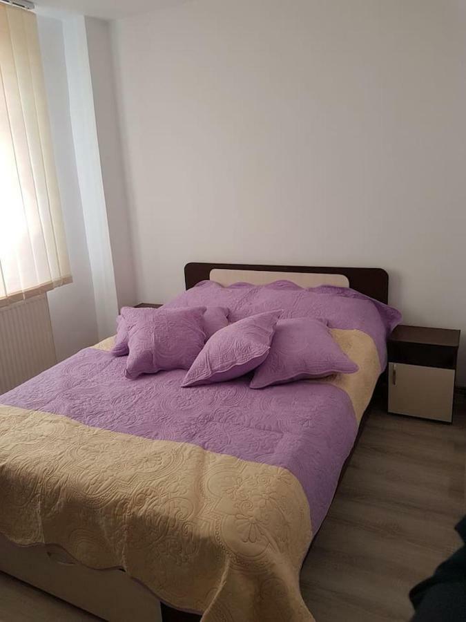 Apartament Mioritza 2A Horezu Exterior foto