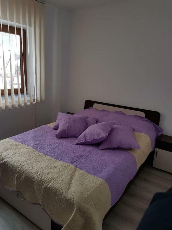 Apartament Mioritza 2A Horezu Exterior foto